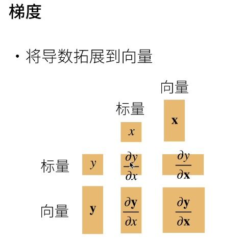 理解矩阵与微积分 从线性代数到自动求导